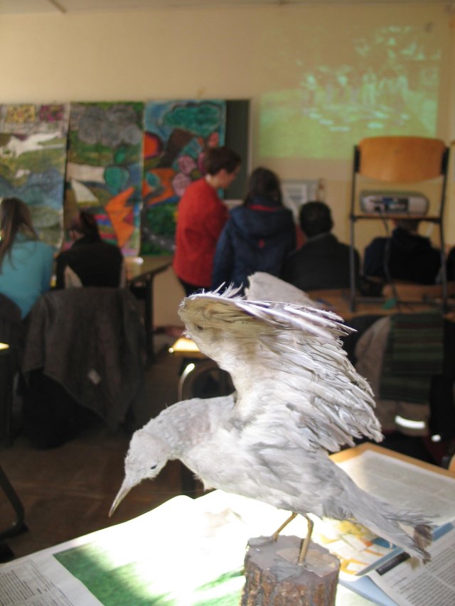 Bild 3